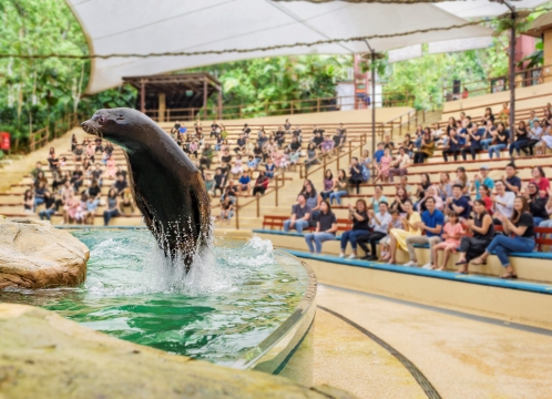 シンガポール動物園